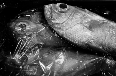 Screen Shot 2015-07-13 at 11.44.37